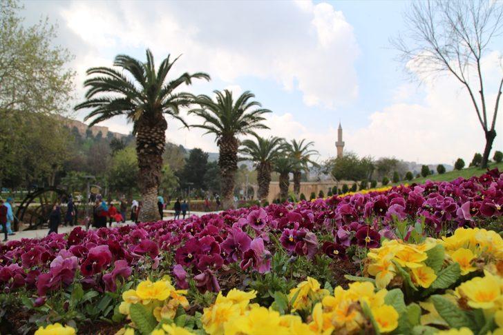 Balıklıgöl Yerleşkesi'nde ilkbahar güzelliği  G1