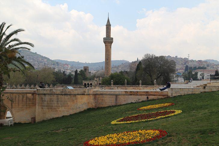  Balıklıgöl Yerleşkesi'nde ilkbahar güzelliği  G3