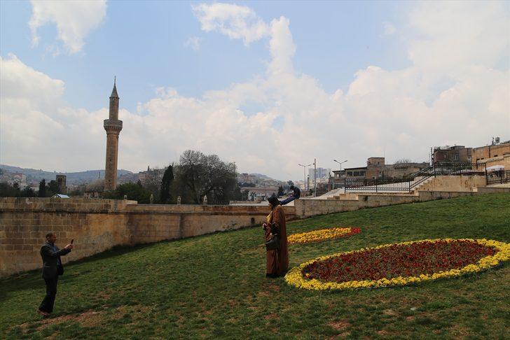  Balıklıgöl Yerleşkesi'nde ilkbahar güzelliği  G5