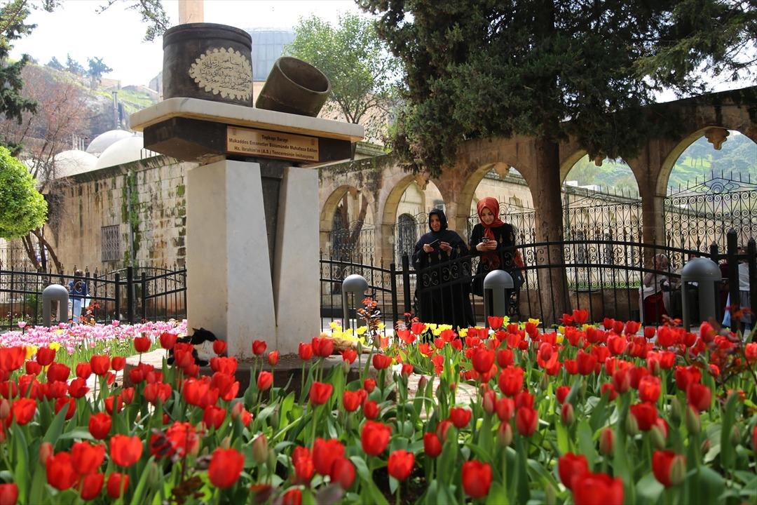  Balıklıg&ouml;l Yerleşkesi'nde ilkbahar g&uuml;zelliği 