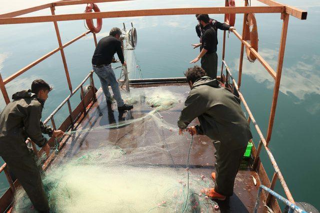 Van Gölü'nün balıkçıları, son ağlarını çekiyor