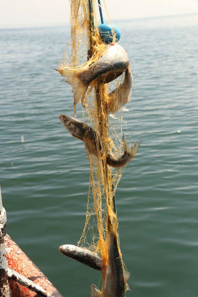 Van Gölü'nün balıkçıları, son ağlarını çekiyor