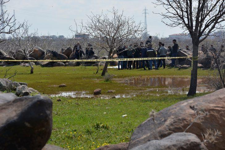  Şanlıurfa'da tarlada çobanlar fark etti G5