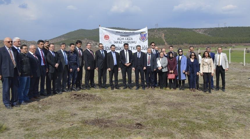 Tavşanlı protokol&uuml; fidan dikti