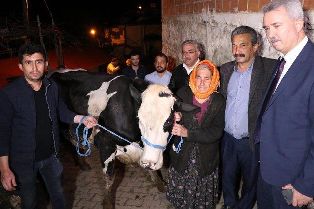 Bakan Pakdemirli, Sabiha nineye buzağılı inek hediye etti