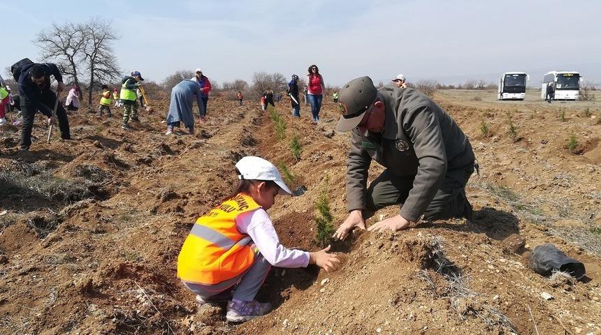 Turgutlar mahallesinde 2 bin fidan toprakla buluştu