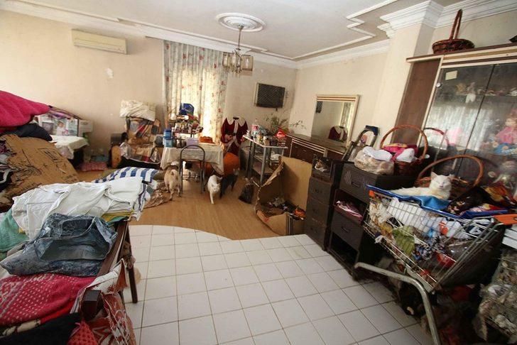 Apartman dairesinden 47 kedi, 6 köpek ve 1 kaplumbağa çıktı  G2