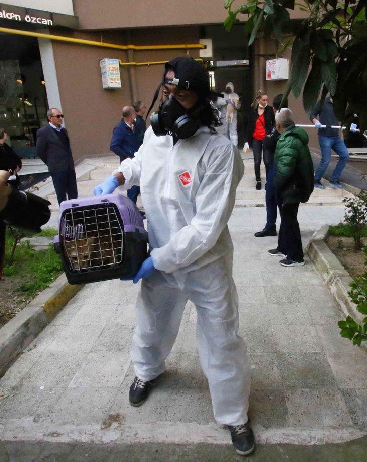 Apartman dairesinden 47 kedi, 6 köpek ve 1 kaplumbağa çıktı  G5