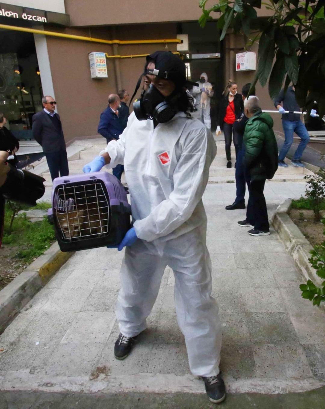 Apartman dairesinden 47 kedi, 6 k&ouml;pek ve 1 kaplumbağa &ccedil;ıktı 