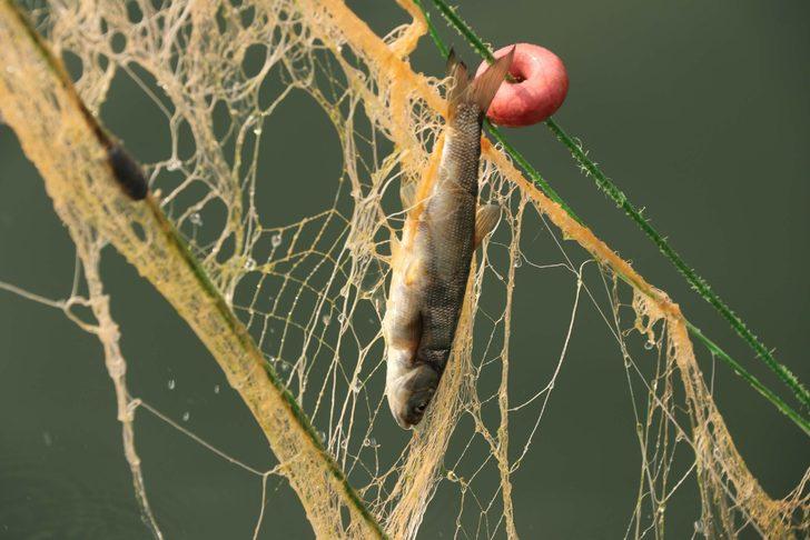 Van Gölü’nün eşsiz lezzeti: İnci kefali   G1
