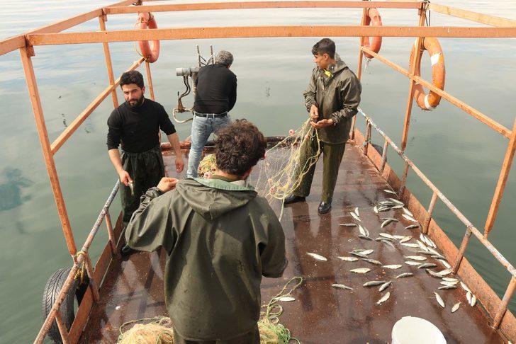 Van Gölü’nün eşsiz lezzeti: İnci kefali   G2