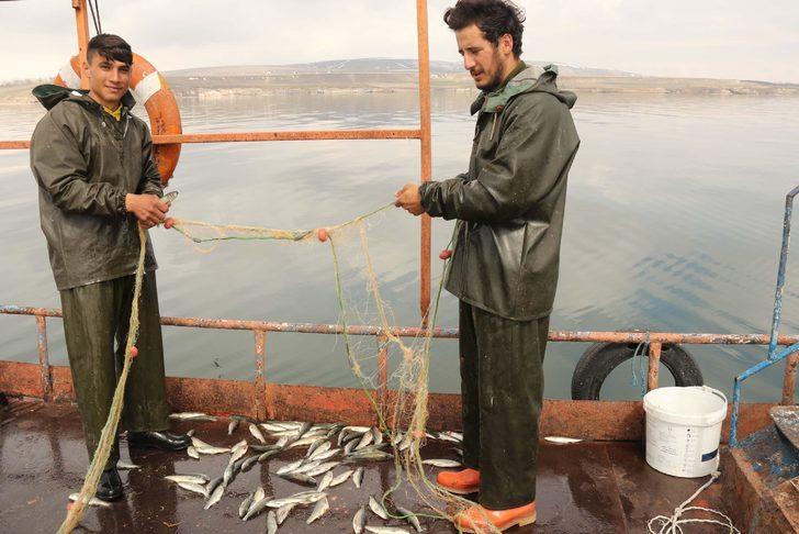 Van Gölü’nün eşsiz lezzeti: İnci kefali   G3