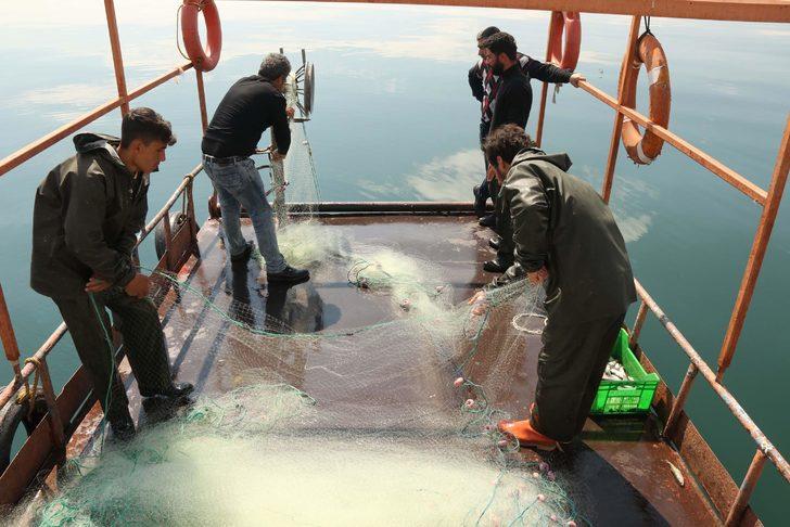 Van Gölü’nün eşsiz lezzeti: İnci kefali   G4