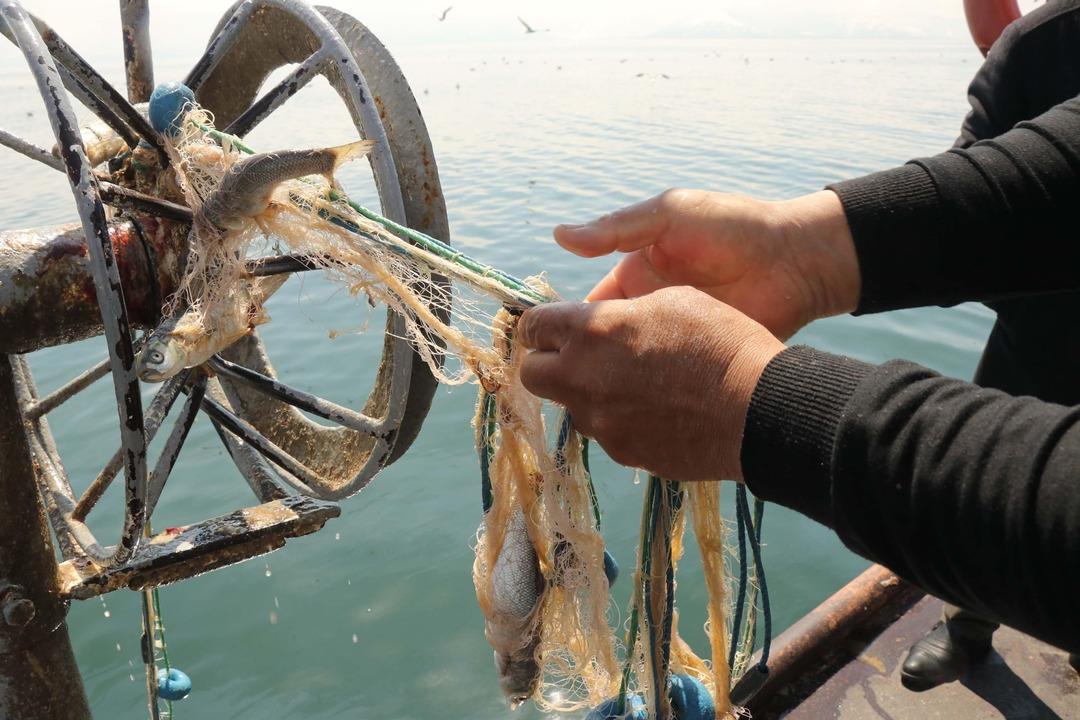 Van G&ouml;l&uuml;&rsquo;n&uuml;n eşsiz lezzeti: İnci kefali  