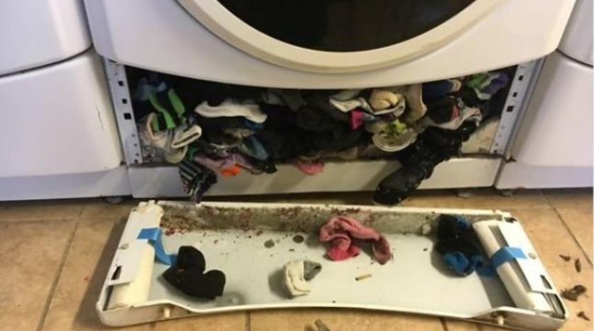Bozulan &ccedil;amaşır makinesini a&ccedil;tı! Bakın i&ccedil;inden ne &ccedil;ıktı