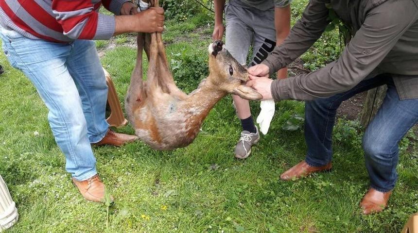 Ordulu avcılara 22 bin 488 lira ceza