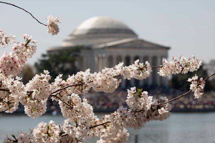 'Kardeş şehir'in hediyeleri çiçek açtı  G2
