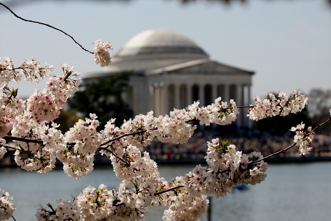 'Kardeş şehir'in hediyeleri &ccedil;i&ccedil;ek a&ccedil;tı 