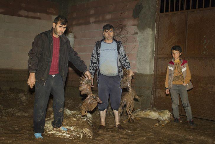 Diyarbakır'da sağanak sele dönüştü, çok sayıda tavuk telef oldu