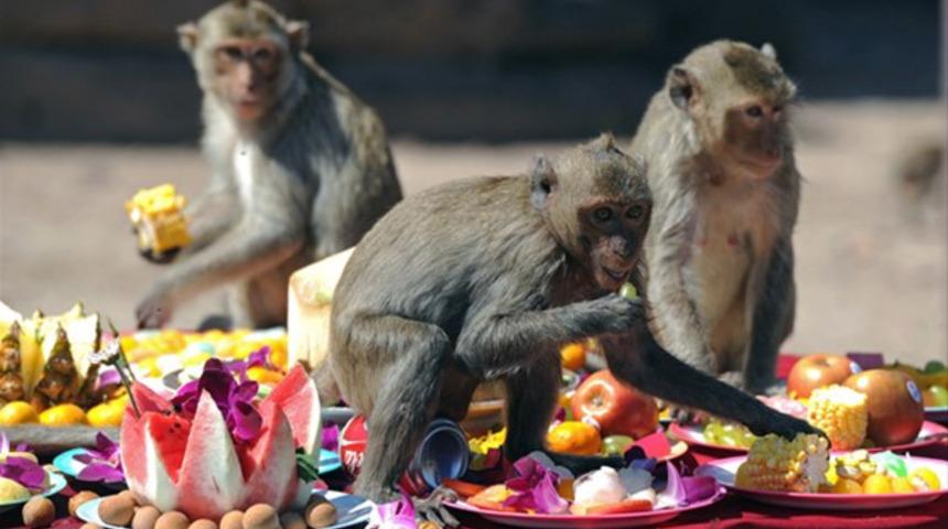 Tayland'ın en ilginç festivalleri!