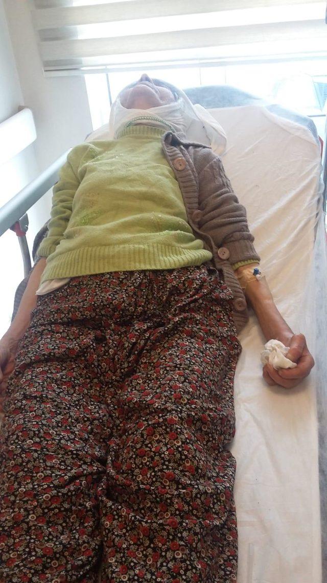Karakoçan'da kaybolan 88 yaşındaki kadın, baygın bulundu