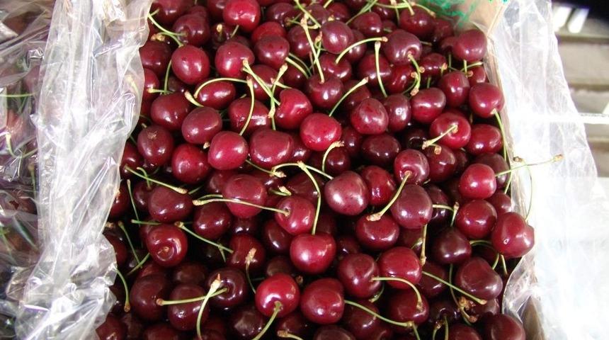 T&uuml;rkiye 52 &uuml;lkeye kiraz ihra&ccedil; etti