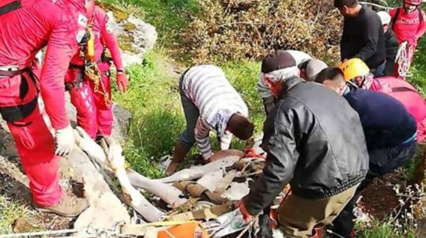 S&ouml;ke&rsquo;de inek kurtarma operasyonu