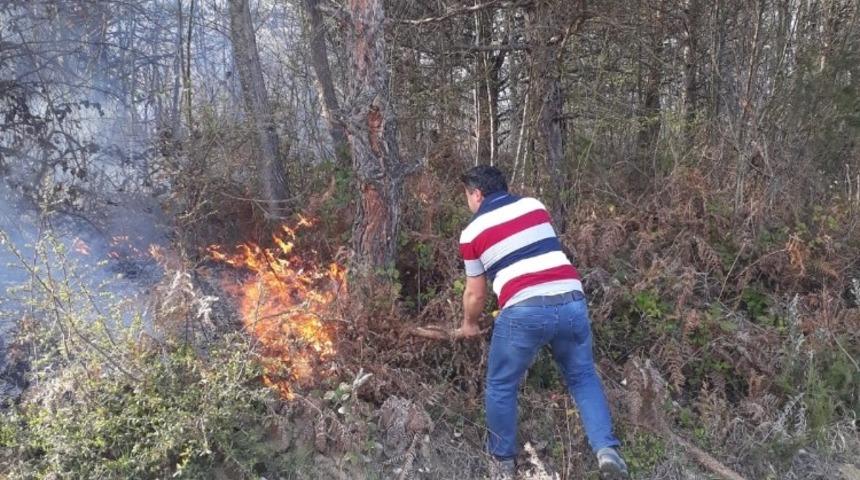 Sinop&rsquo;ta orman yangını