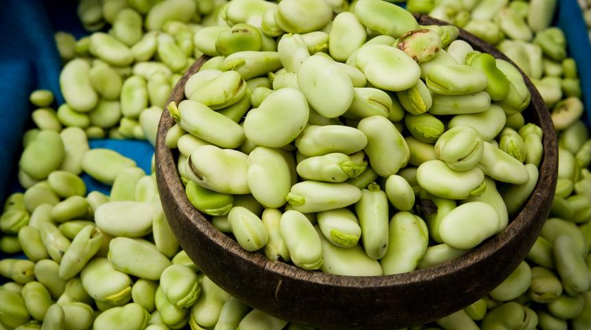 &Ccedil;ocuklarda bakla zehirlenmesine dikkat