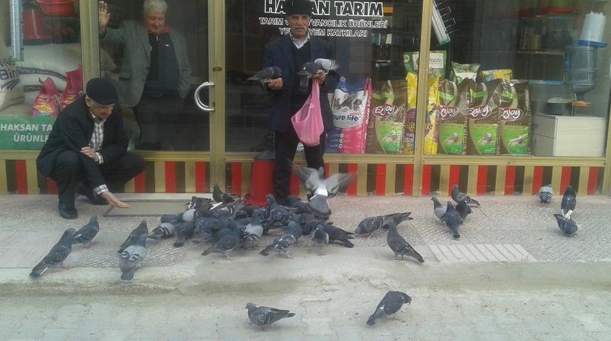 Bekçinin güvercin aşkı