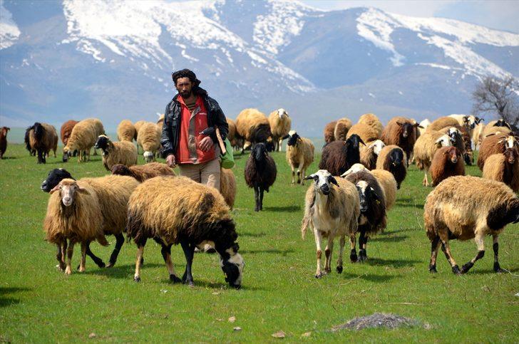 Besicilerin 'mera hasreti' sona erdi G2