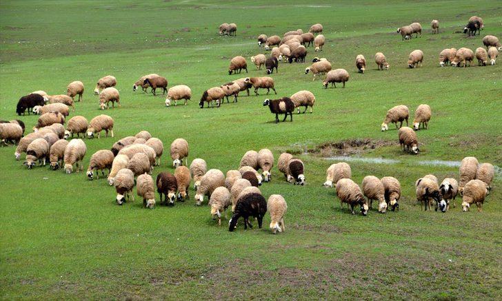Besicilerin 'mera hasreti' sona erdi G4