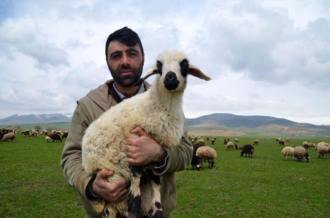Besicilerin 'mera hasreti' sona erdi