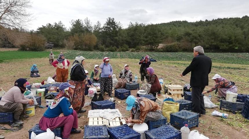 Başkan Şahin çiftçileri ziyaret etti