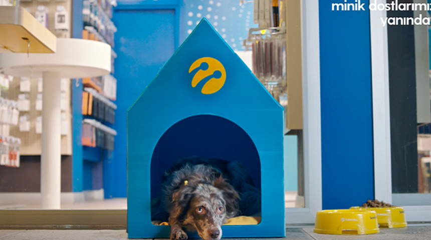 Turkcell'in 1400 mağazası minik dostlara kapılarını açıyor