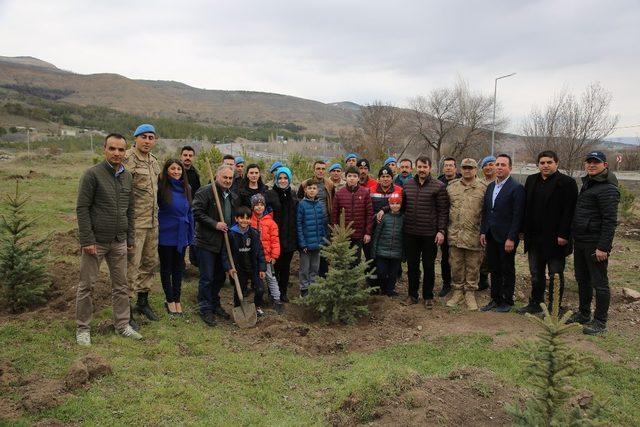 Yüzüncü Yılda 100 Milyon Fidan