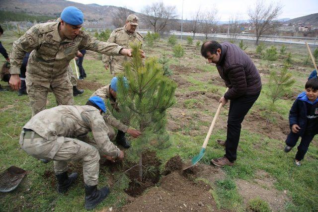 Yüzüncü Yılda 100 Milyon Fidan