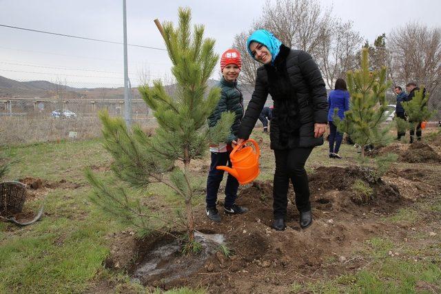 Yüzüncü Yılda 100 Milyon Fidan