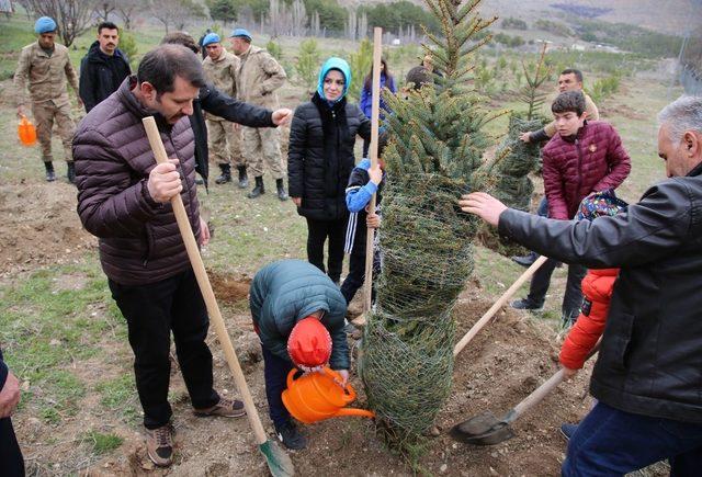 Yüzüncü Yılda 100 Milyon Fidan