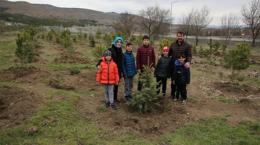 Y&uuml;z&uuml;nc&uuml; Yılda 100 Milyon Fidan