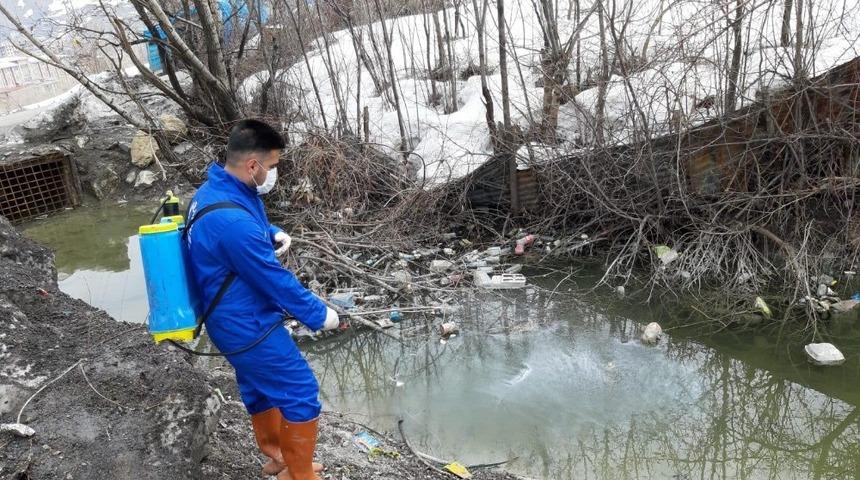 Hakkari&rsquo;de haşerelerle m&uuml;cadele &ccedil;alışması başlatıldı