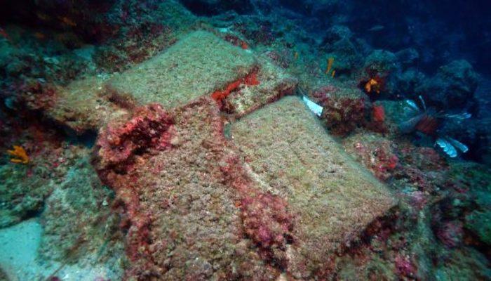 Dünyanın en eskisi! 1.5 ton ağırlığında 14 metre boyunda: Antalya'da bulundu