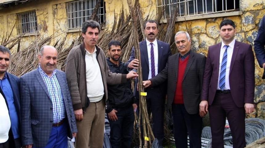 Bing&ouml;l&rsquo;de 18 bin adet ceviz fidanı dağıtıldı