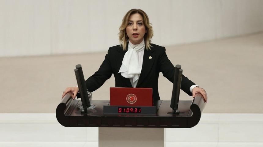 Milletvekili G&ouml;kcan: "Kesilen ağa&ccedil;ların yerine 120 ağa&ccedil; dikilecek"