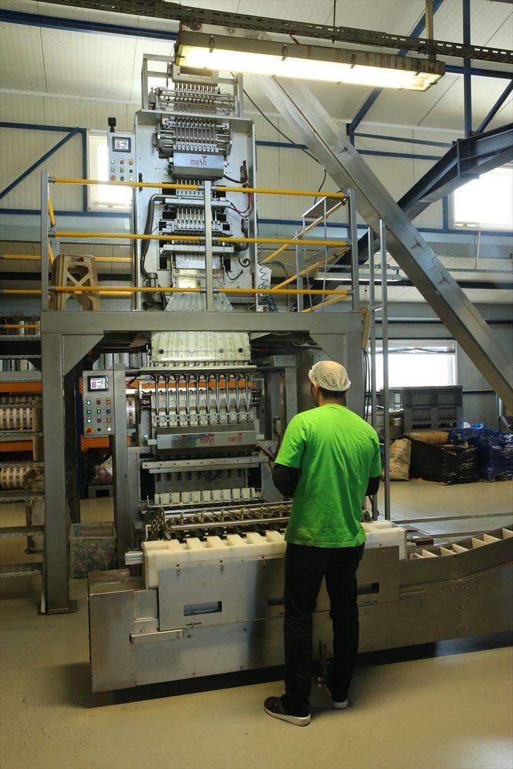 Sanayi kentinden 22 ülkeye 'çubuk çay' ihracatı G3