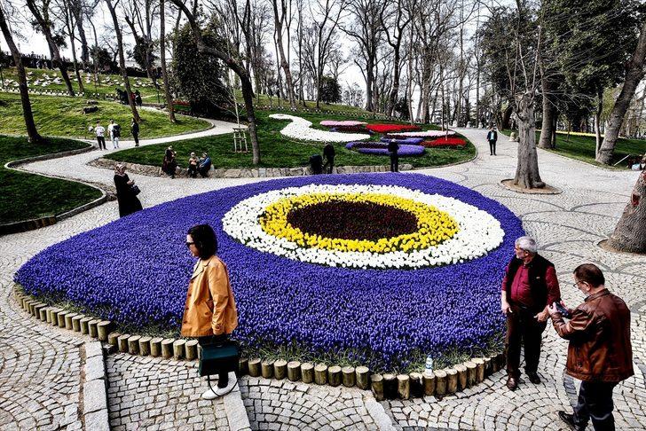 Emirgan Korusu rengarenk! G3