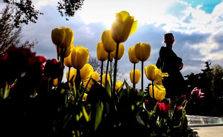 Emirgan Korusu rengarenk! G4