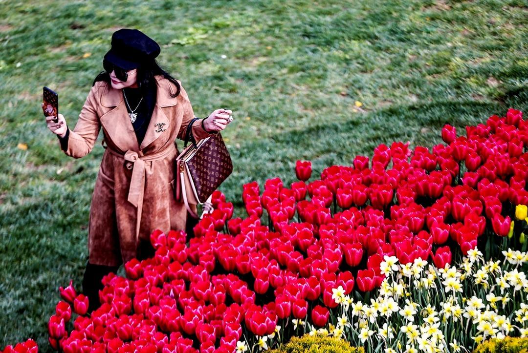 Emirgan Korusu rengarenk!