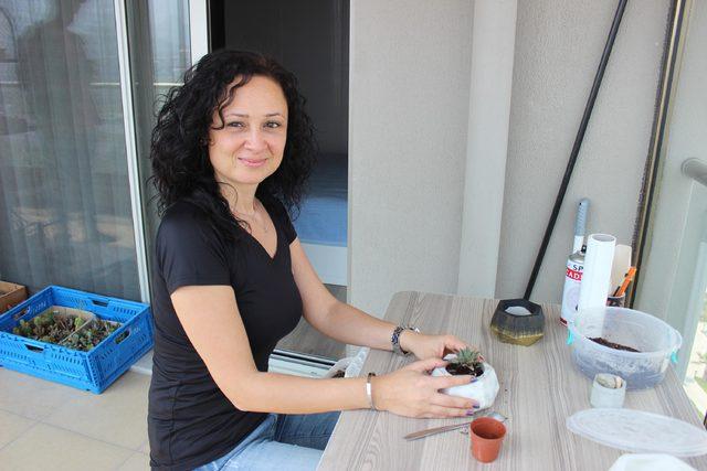 El yapımı beton saksıdaki sukulentler, evleri ve ofisleri s&uuml;sl&uuml;yor 2