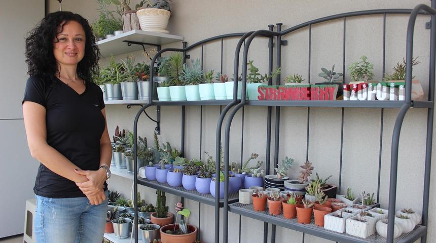 El yapımı beton saksıdaki sukulentler, evleri ve ofisleri s&uuml;sl&uuml;yor